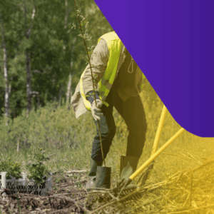 CIPATR: o que é, como funciona e seu impacto na segurança do trabalho rural