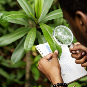 Programas de Educação Legal Ambiental: lições básicas e ações práticas 