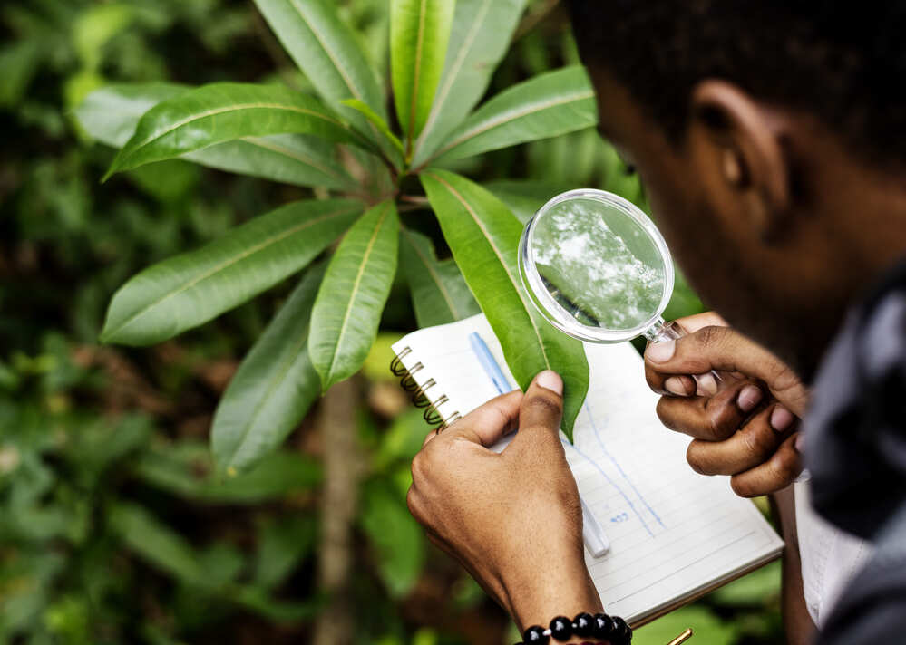educação legal ambiental