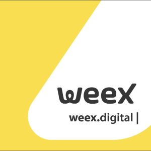 Entenda como funciona a Weex